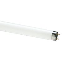 Лампа люм G13 Т8 18Вт 4100К 1200лм Philips
